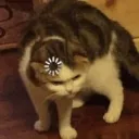 proccessing