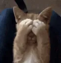 Facepalm
