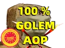 100POUR100GOLEM