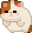 rolypolycat