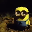 minionawnoidea