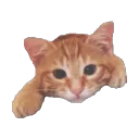 dududud