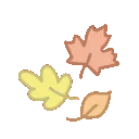 flowerleaves_Chad