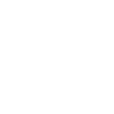 iconAntiraidWhite