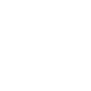 iconCaptchaWhite