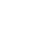 iconDmlockWhite