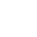 iconExportWhite