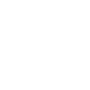 iconLanguageWhite