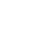 iconPrefixWhite