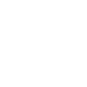 iconReportWhite