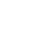 iconTagWhite