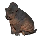 chonker