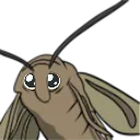 mothplead