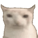 catEat