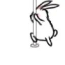 olv_bunnydance