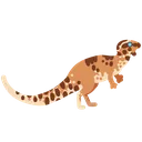 dryo