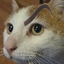 TokiBrow Discord emoji