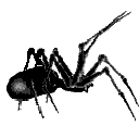 0spider