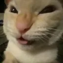 Nie