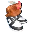 shoes shoes