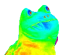 rainbowfrog