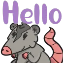 01_Phoebe_Hello_Possum