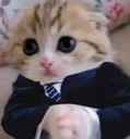 Business custom emote - Real Eyes Realize Real Lies