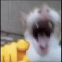 emoji_8