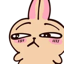usagi_hm
