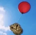 aircat