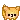 05_dog