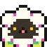 zz_cflower5P2U