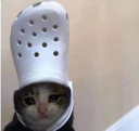 ss_catsad Discord emoji