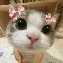 chichi