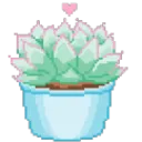SucculentPlant