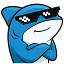 coolshark