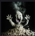 Screenshot20250726145408 Discord Emoji - EthanIsCools Grow A Garden 2 | Stocks Notifier Server