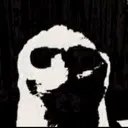 why_dotgg_femz