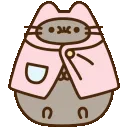 038_pusheen3