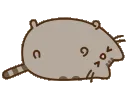 pusheenlie