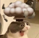 A gray and white cat with a wide-eyed, shocked expression and an open mouth, featuring a cartoon mushroom cloud erupting fro…