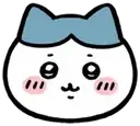 Hachi