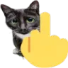 fu