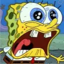 sponge_what