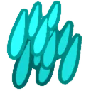 tropicalrain