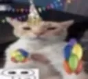 9_cat_party