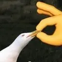 shut2