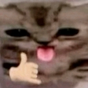 :ESTELLAROCKS: