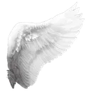 25287wing