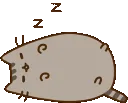 PusheenSleeping